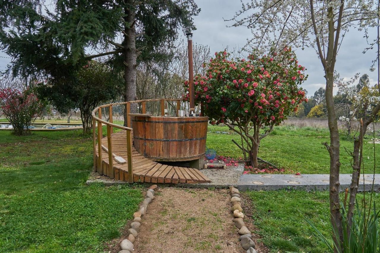 La Casa De Adobe Natural Y Mas Bulnes Екстер'єр фото