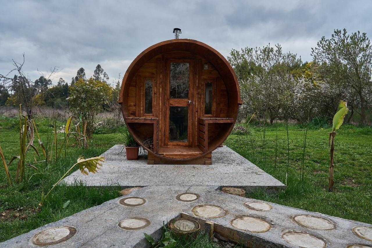 La Casa De Adobe Natural Y Mas Bulnes Екстер'єр фото
