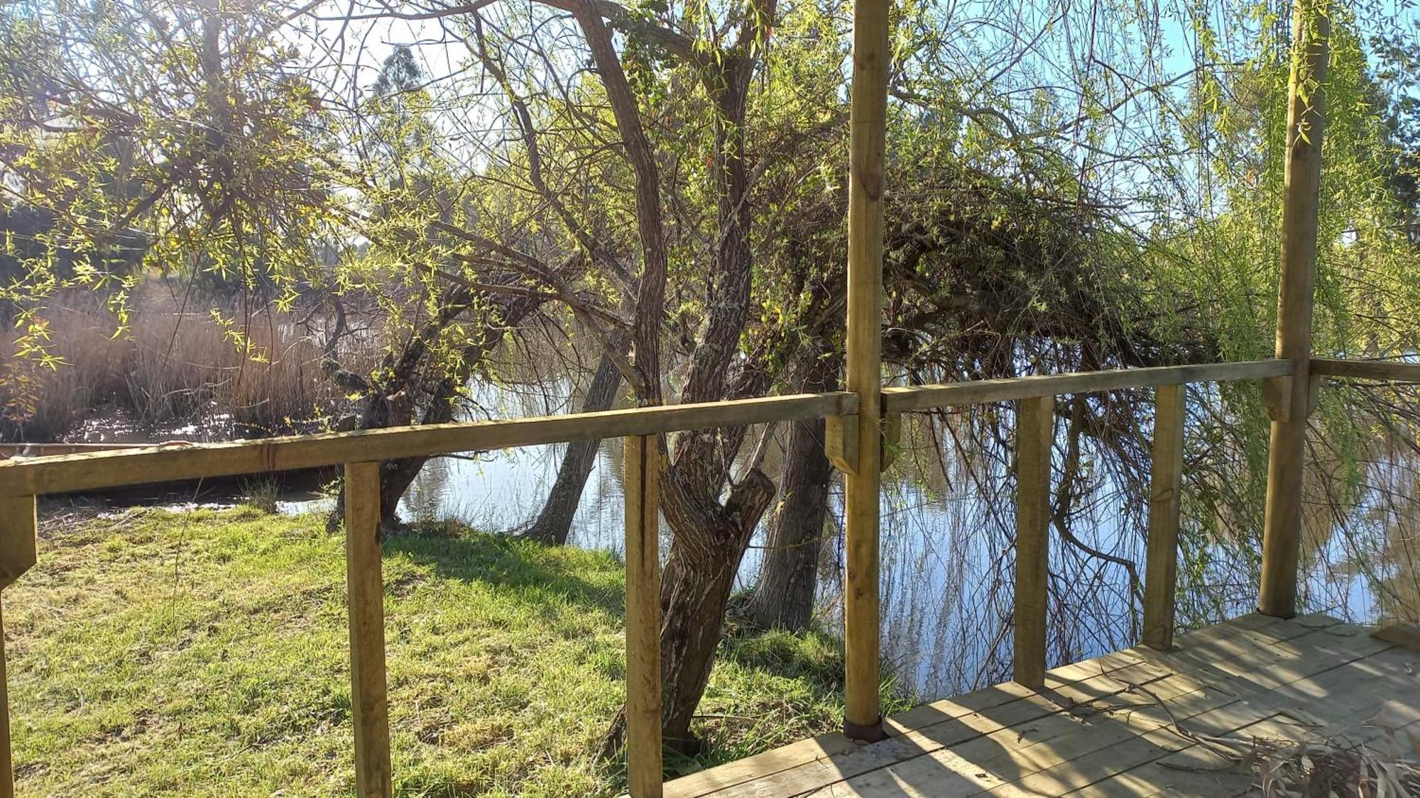 La Casa De Adobe Natural Y Mas Bulnes Екстер'єр фото