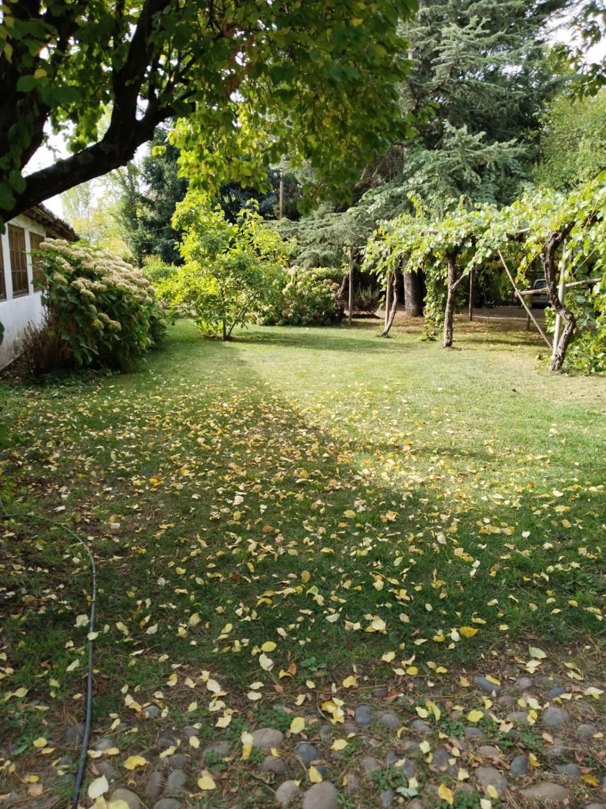 La Casa De Adobe Natural Y Mas Bulnes Екстер'єр фото
