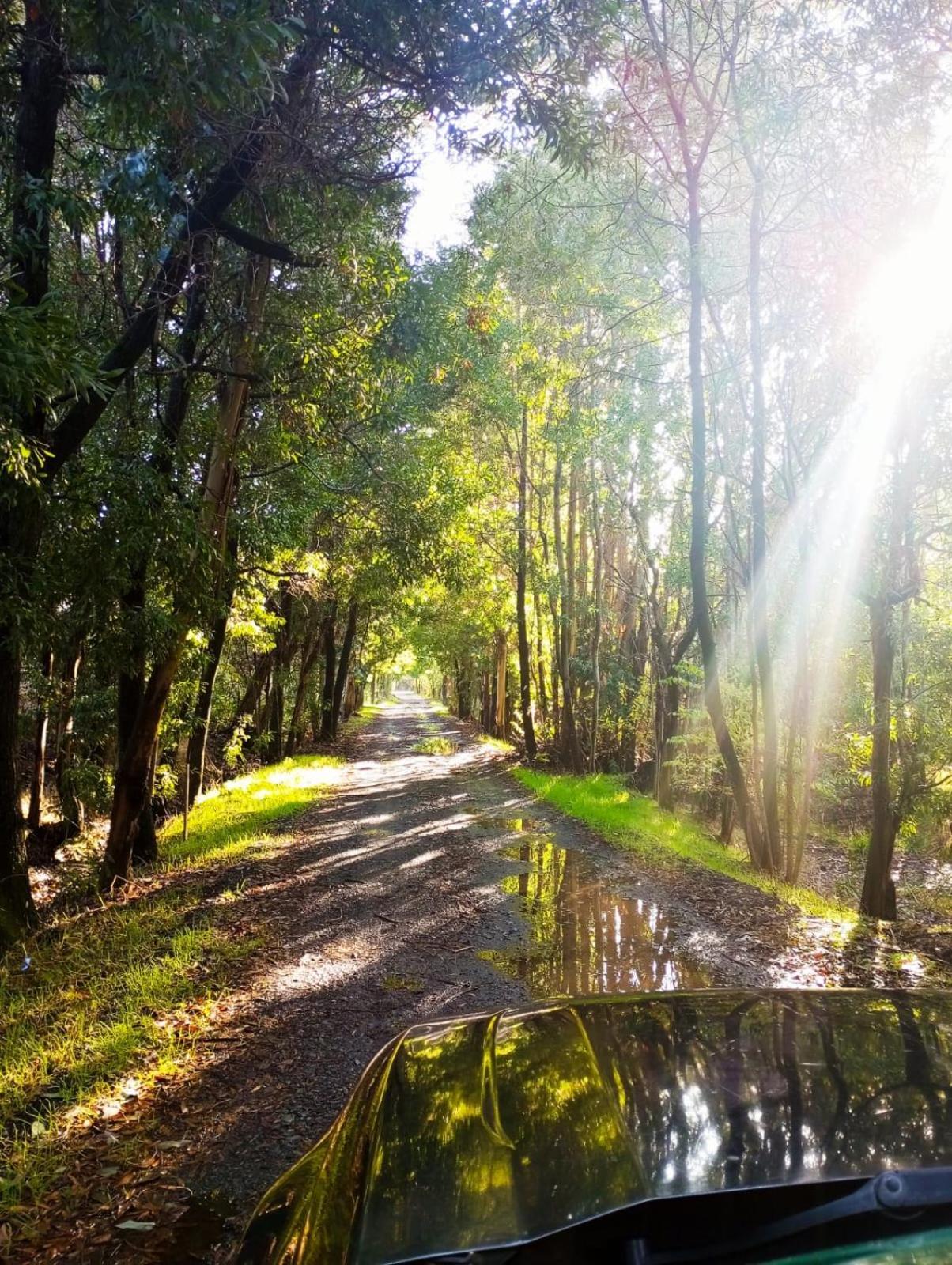 La Casa De Adobe Natural Y Mas Bulnes Екстер'єр фото