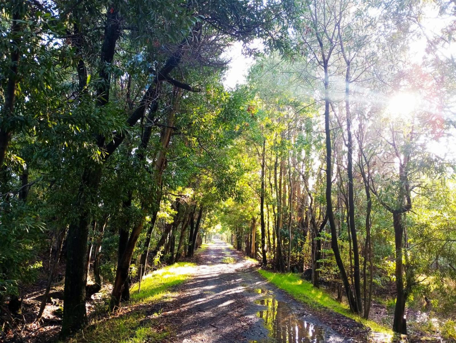 La Casa De Adobe Natural Y Mas Bulnes Екстер'єр фото